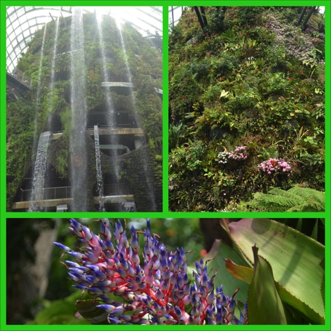 Greenhouse Collage #1