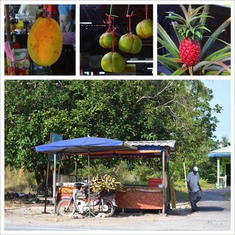 Penang countryside 1_Collage