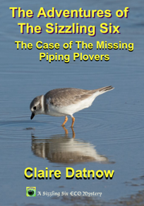 Piping Plover Book Cover