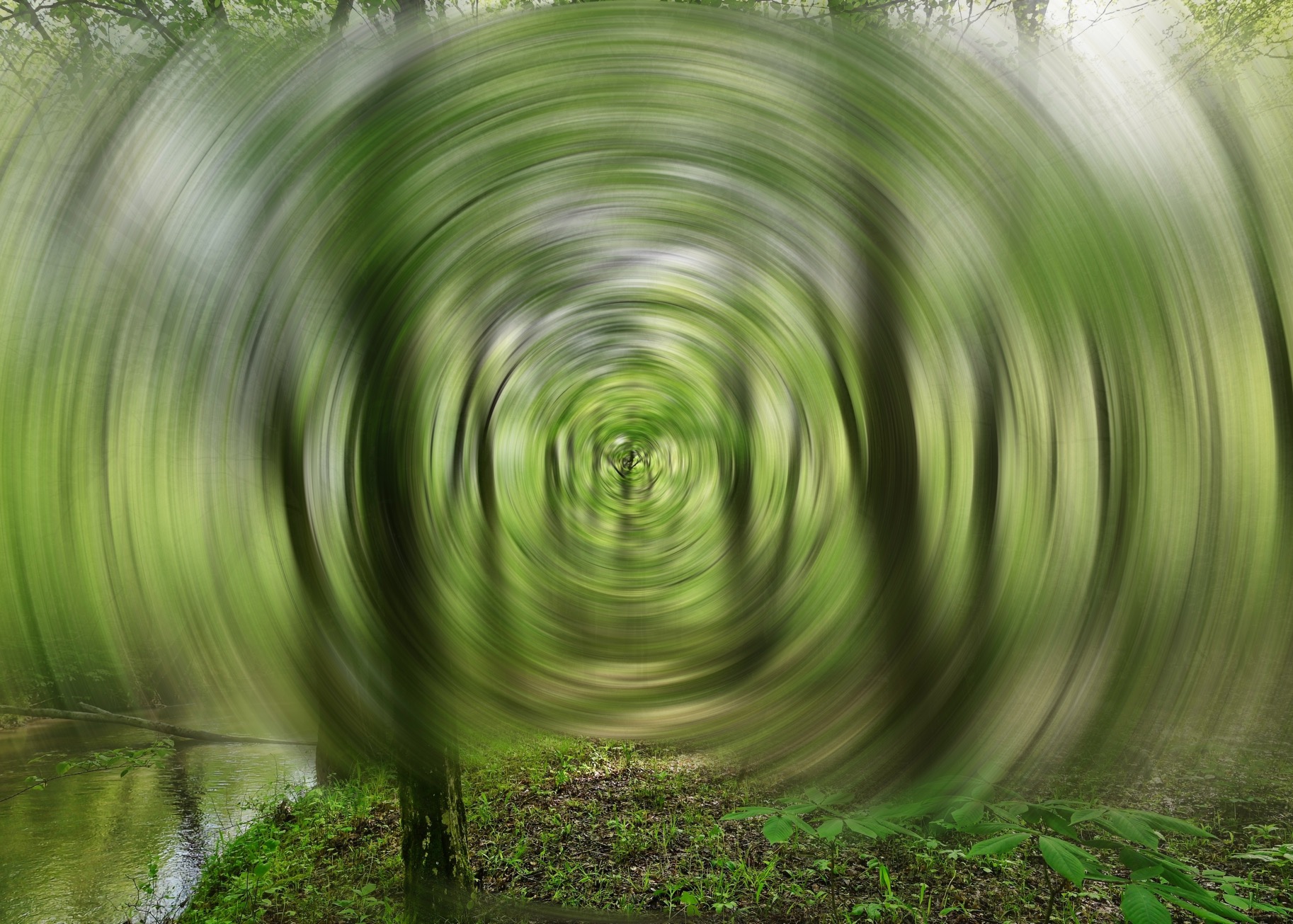 Cicular forest wind