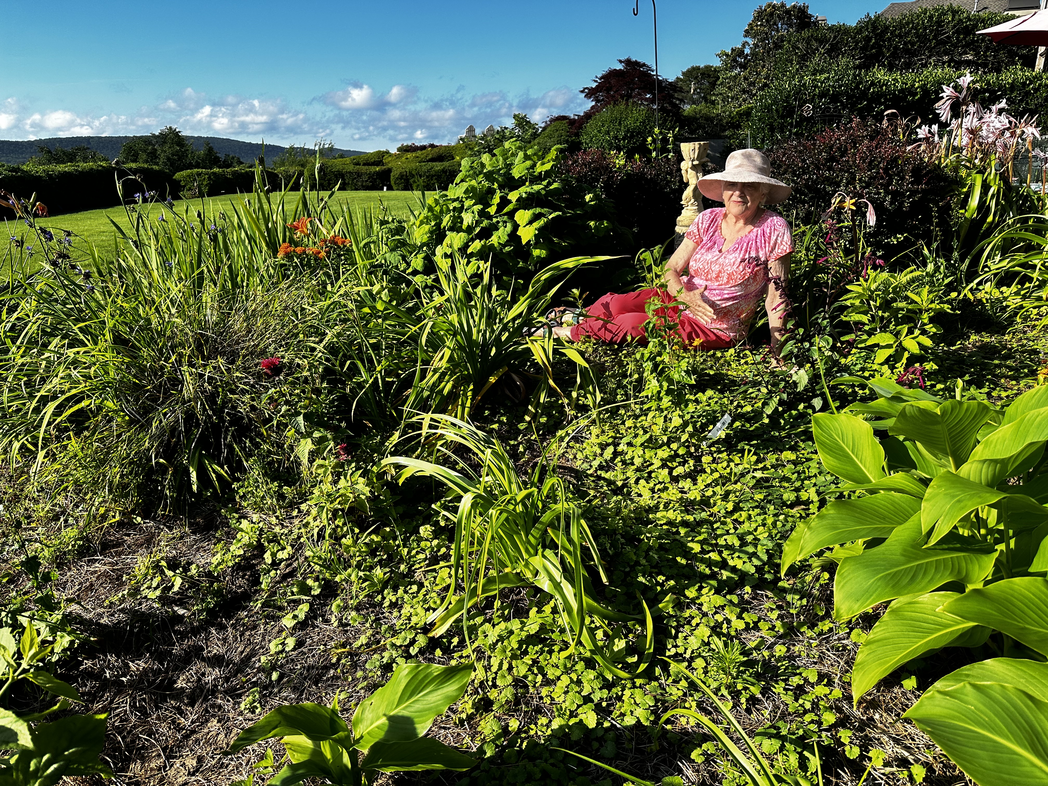 Wildflower Garden