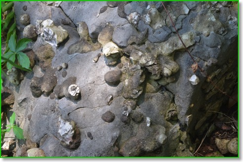 Aggregate rock