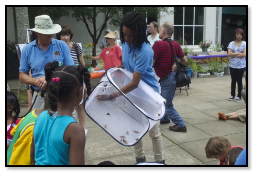 Butterfly release