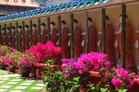 Courtyard with flowers 2