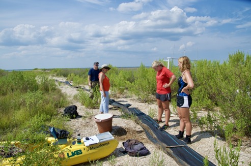 Diamondback Terrapin Conservation