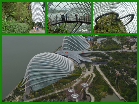 DSC_0223_Fotor_Collage #2