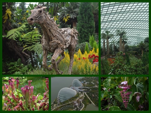 DSC_0223_Fotor_Collage #4