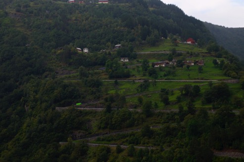 DSC_046Greinger hillsides 5
