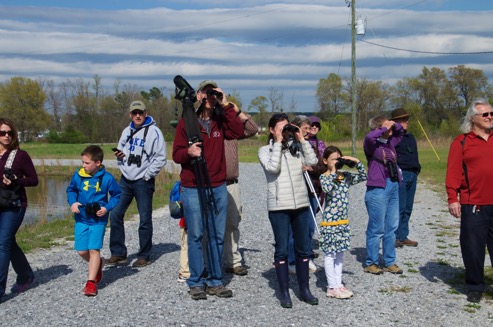 Eco Mystery Bird Hunt