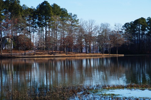 Eco Mystery Nature trail