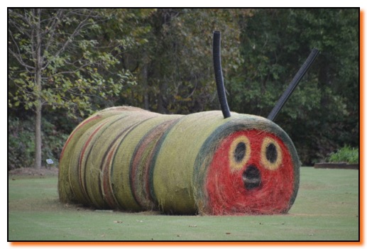 HUNGRY CATERPILLAR