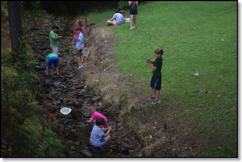 In the creek
