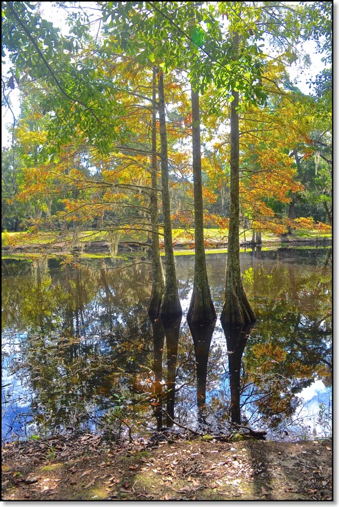 Live Oak landing 2