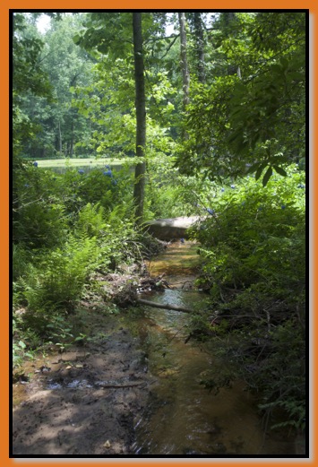 Stream