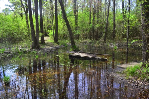 Submerged bridge