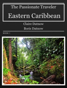 Vol 1 The Passionate Traveler