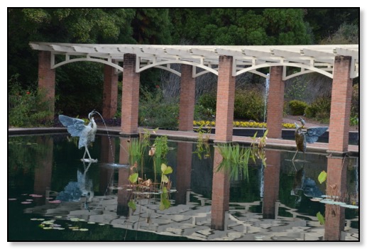 WATER GARDEN