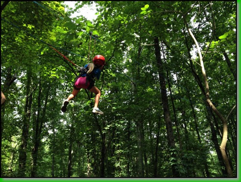 Zip Line