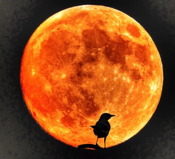 Full moon Bird large